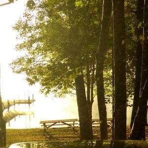 Meet your Posher, Tabatha